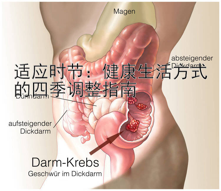 适应时节：健康生活方式的四季调整指南