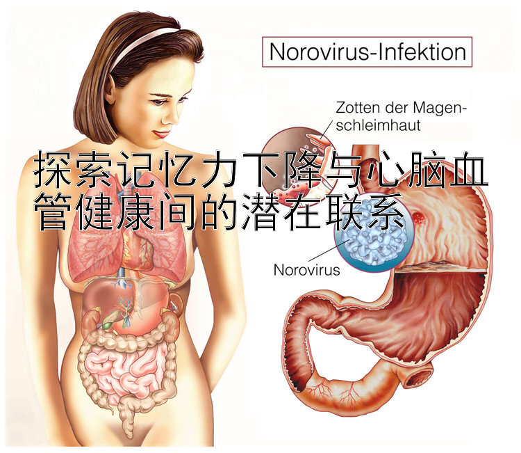 探索记忆力下降与心脑血管健康间的潜在联系