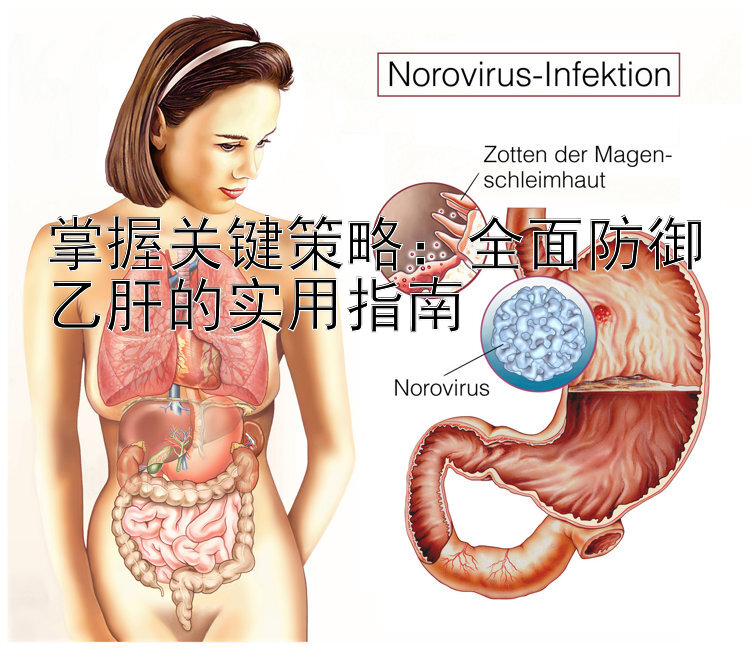 掌握关键策略：全面防御乙肝的实用指南