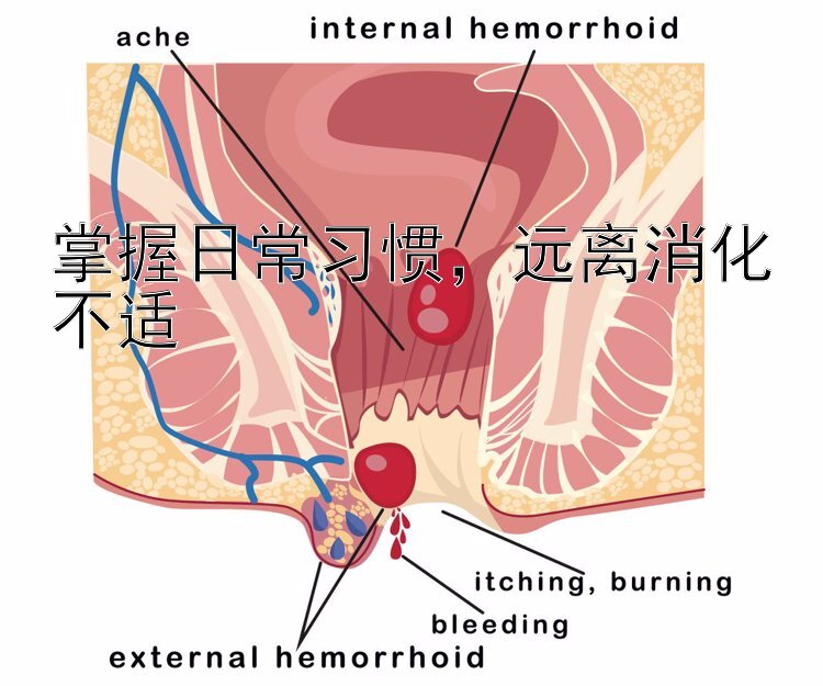 掌握日常习惯，远离消化不适