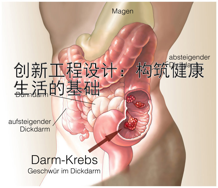 创新工程设计：构筑健康生活的基础