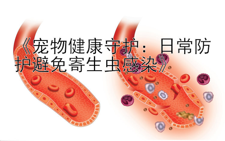 《宠物健康守护：日常防护避免寄生虫感染》