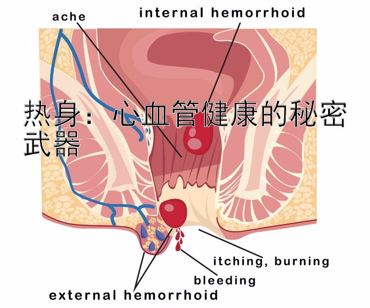 热身：心血管健康的秘密武器