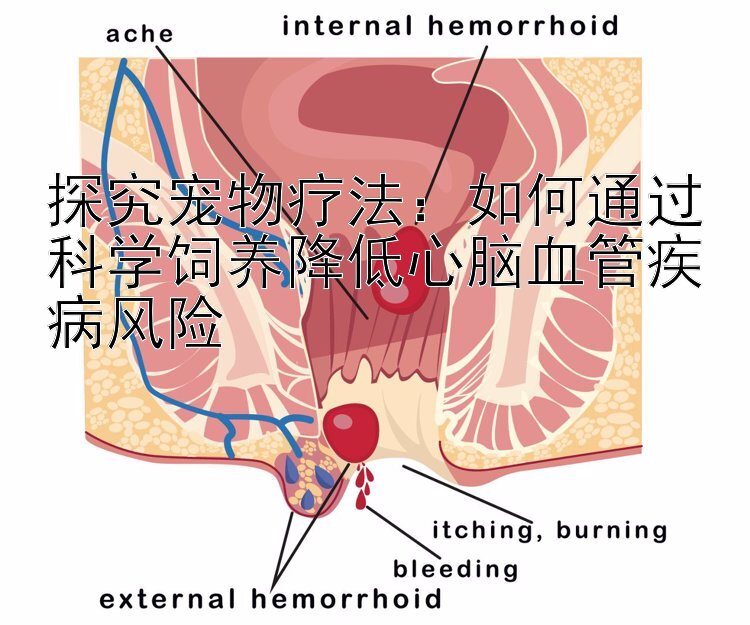 探究宠物疗法：如何通过科学饲养降低心脑血管疾病风险