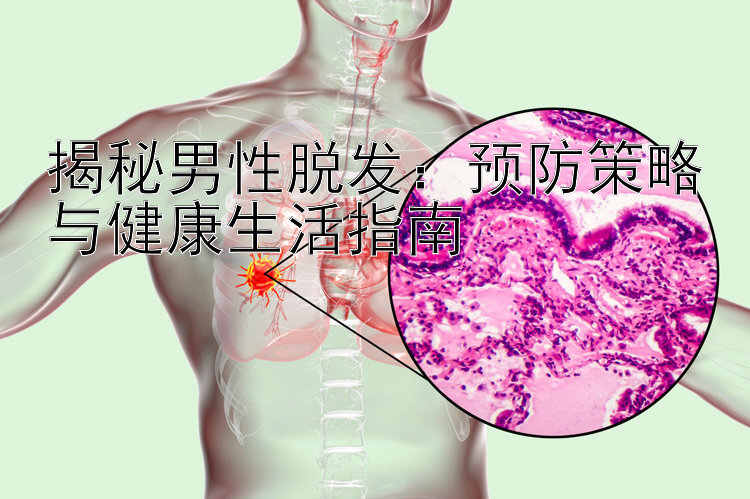 揭秘男性脱发：预防策略与健康生活指南