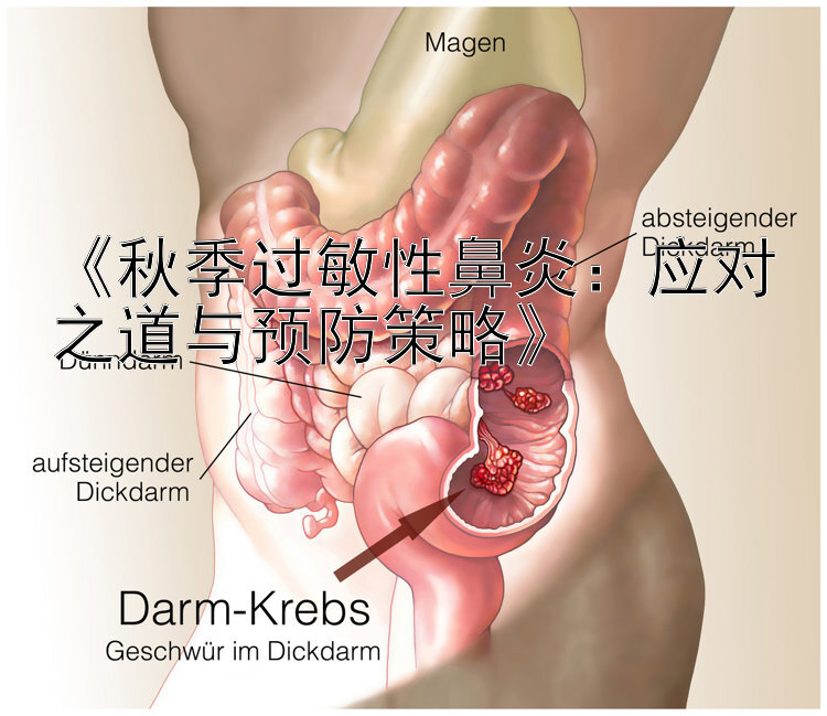 《秋季过敏性鼻炎：应对之道与预防策略》