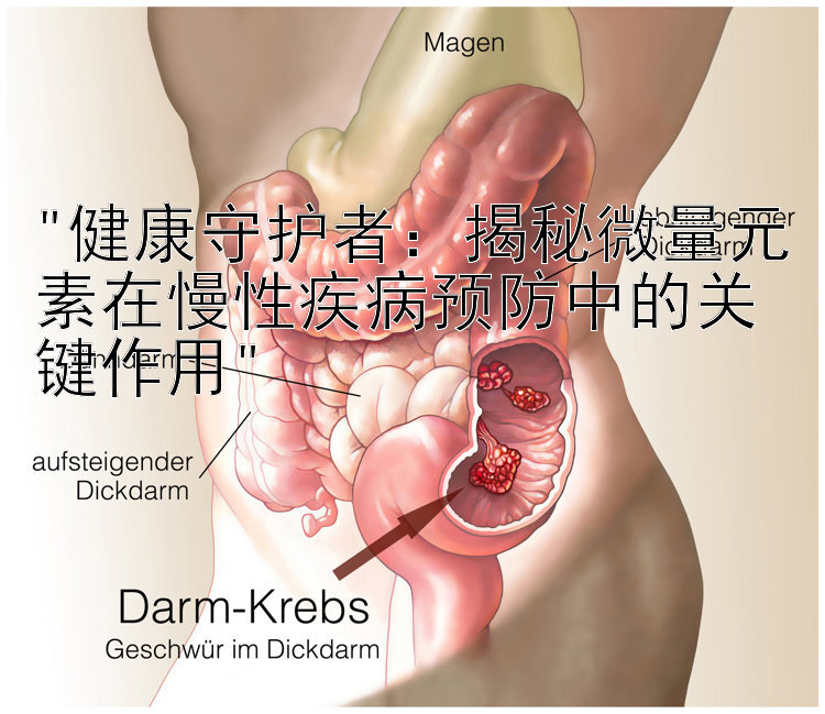 健康守护者：揭秘微量元素在慢性疾病预防中的关键作用