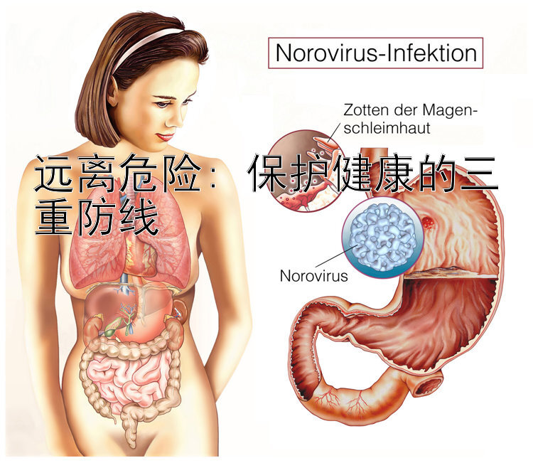 远离危险: 保护健康的三重防线